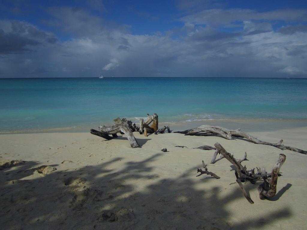 Antigua Chiama Italia Villas Jolly Harbour 部屋 写真